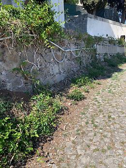 Via del Santuario, è polemica sullo stato del luogo simbolo di Monselice