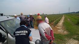 Padova, operazione "Terra promessa": cittadino agli arresti domiciliari per sfruttamento del lavoro