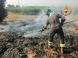 Arre, incendio in un campo agricolo