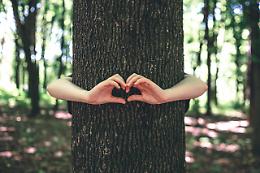 Deforestazione: il Parlamento UE concede un anno in più alle imprese per conformarsi alle nuove norme