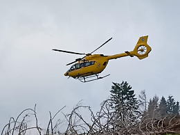 Orrore a Cormons: donna aggredita dai propri cani, trasportata in elicottero in codice rosso