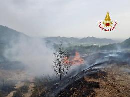 Incendio di vegetazione ad Arquà Petrarca