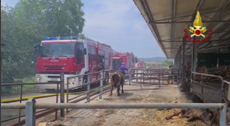 Barbarano, incendio in una stalla: feriti animali, intossicato un agricoltore