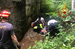 Torrebelvicino, cade dalla sponda del torrente alta cinque metri: ferito