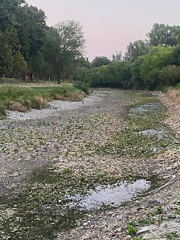 Padova, emergenza siccità. Necessaria analisi delle acque