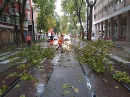 Veneto, maltempo: Zaia dichiara lo stato di emergenza regionale