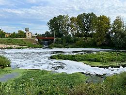 West Nile, il Consorzio Bacchiglione intensifica la lotta: sfalcio straordinario lungo i canali per fermare la diffusione del virus
