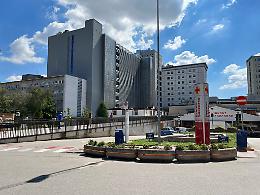 Padova, aggiornamento West Nile. Salgono a 16 le persone ricoverate