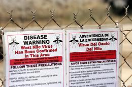 Camponogara, nuovo caso di West Nile Virus