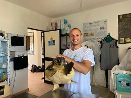 Villa del Conte: la storia di Andrea, il giovane biologo che sussurra alle tartarughe
