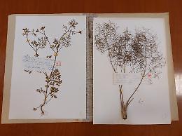 Vicenza, biblioteca dell&rsquo;istituto agrario Strampelli di Lonigo: 5.500 documenti da salvare