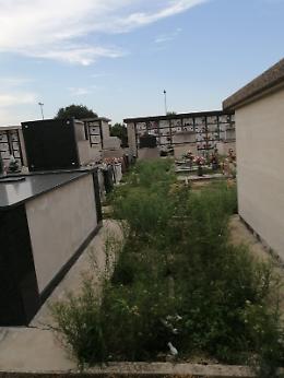 Rovigo, chiusura cimiteri per trattamenti fitosanitari