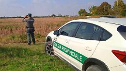 Rovigo, la polizia provinciale vigila sulla caccia in zona di divieto
