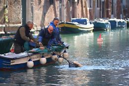 Gondolieri sub a Venezia, recuperati 10 quintali di rifiuti
