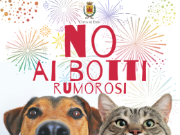 Este: no ai botti rumorosi a Capodanno