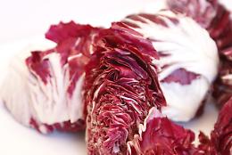 Mogliano Veneto, torna la Mostra Mercato del Radicchio Rosso di Treviso
