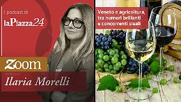 Veneto e Agricoltura, tra numeri brillanti e concorrenti sleali