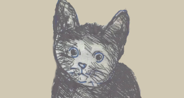 Porto Viro: Gatto Tomeo è il testimonial di Liba, la Banca dei Libri