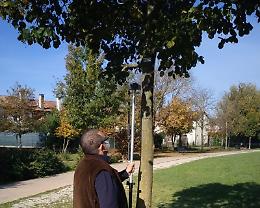 Mogliano Veneto città degli alberi, censite 8mila 354 piante