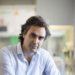 Cellule tumorali e sistema immunitario, una scoperta apre la strada a nuove vie terapeutiche