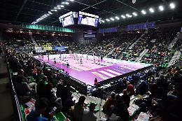Volley, l’Imoco Conegliano ospita sabato Novara
