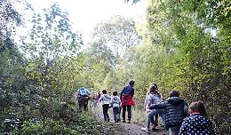 Montegrotto Terme, torna la rassegna Sentieri Sonori Junior