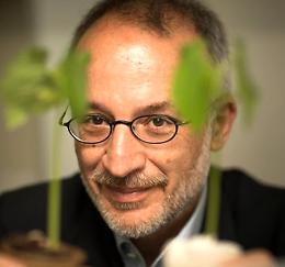 “Symposium Sesa”: a Este cinque incontri gratuiti tra scienza e divulgazione