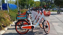 Allerta Pm10 a Venezia, il Comune lancia bike e car sharing a tariffe agevolate