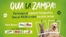 Amici a 4 Zampe: anche quest'anno il contest targato La Piazza e La Piazza Web
