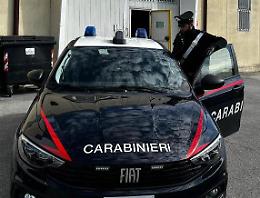 Solesino, lavoro in nero e altre irregolarità. Sanzioni per una azienda