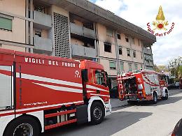 La casa è distrutta, ma il coniglio è salvo 