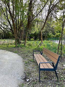 Treviso, inaugurato il nuovo bosco periurbano di via Selvatico