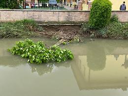 Meolo, per le forti piogge crolla la riva del canale Fossetta