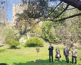 Este: l’albero monumentale del futuro piantato ai Giardini del Castello