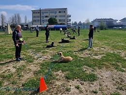 Riapre l’area cani di via Appia Monterosso ad Abano Terme