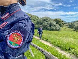 Carabinieri forestali del Parco Nazionale Dolomiti Bellunesi incontrano gli studenti delle scuole primarie di Sovramonte e Pedavena