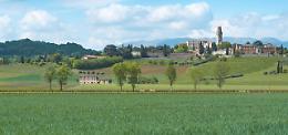 Vite in campo, due giorni a Susegana per le sfide del settore vitivinicolo