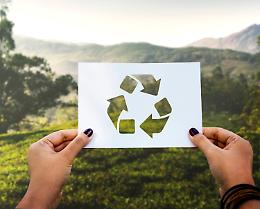 Stop all’utilizzo dei sacchi per la raccolta del verde nel Comune di Rovigo
