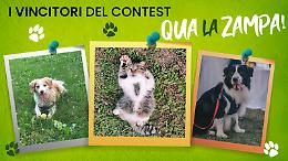 Contest "Qua la Zampa": ecco i vincitori!