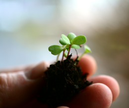 Padova, Future for Africa: azioni per seminare il futuro