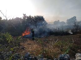 Incendi boschivi in Puglia, in campo quattro volontari della Protezione civile di Venezia