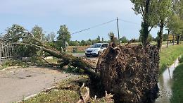 Vigonza, il sindaco Boscaro calcola i danni dopo la tromba d'aria di sabato