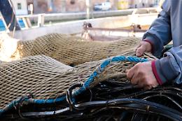 Online sul nuovo portale la carta ittica regionale