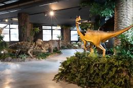 Jesolo, è stato inaugurato il nuovo JMuseo