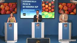Il ritorno del marchio IGP della pesca di Verona, una produzione che si concentra per l’85% sul territorio scaligero