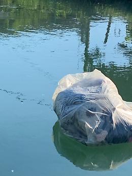 Sacchi di rifiuti nel canale Piavesella, il sindaco di Spresiano: "Atto incivile"