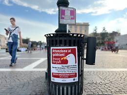 Nuovi adesivi sui cestini di Venezia: "Attenti ai gabbiani"
