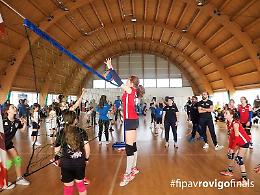 Volley S3, la festa dei piccoli pallavolisti polesani