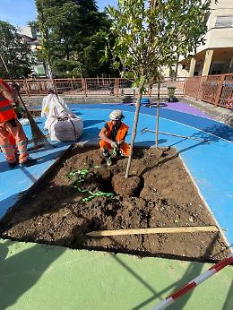 Padova, sicurezza a scuola. Quattro nuove piazze scolastiche