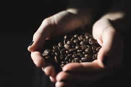 Padova, bici e caffè. Un evento per imparare a degustare il caffè